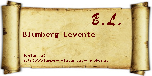 Blumberg Levente névjegykártya